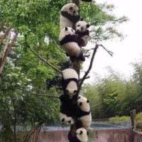 坐望敬亭