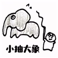 小抽大象