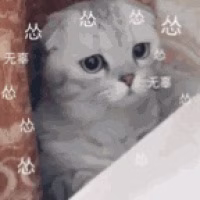 巫马行