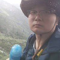 废纸桥