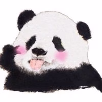 愤怒的乌贼
