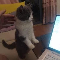 我最白