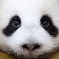 榴弹怕水