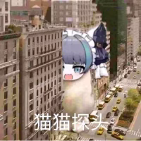 渡红尘