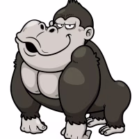 锦绣灰