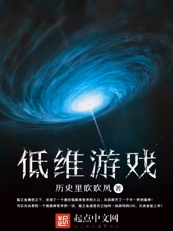 低维游戏