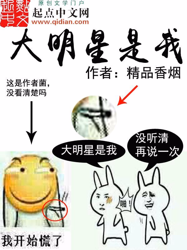 大明星是我