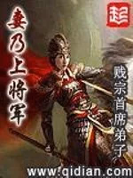 妻乃上将军