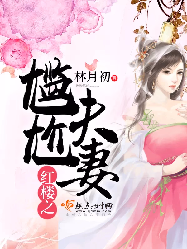 红楼之尴尬夫妻