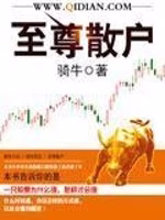 至尊散户