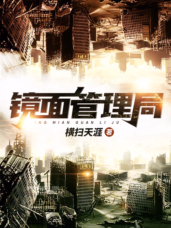 镜面管理局