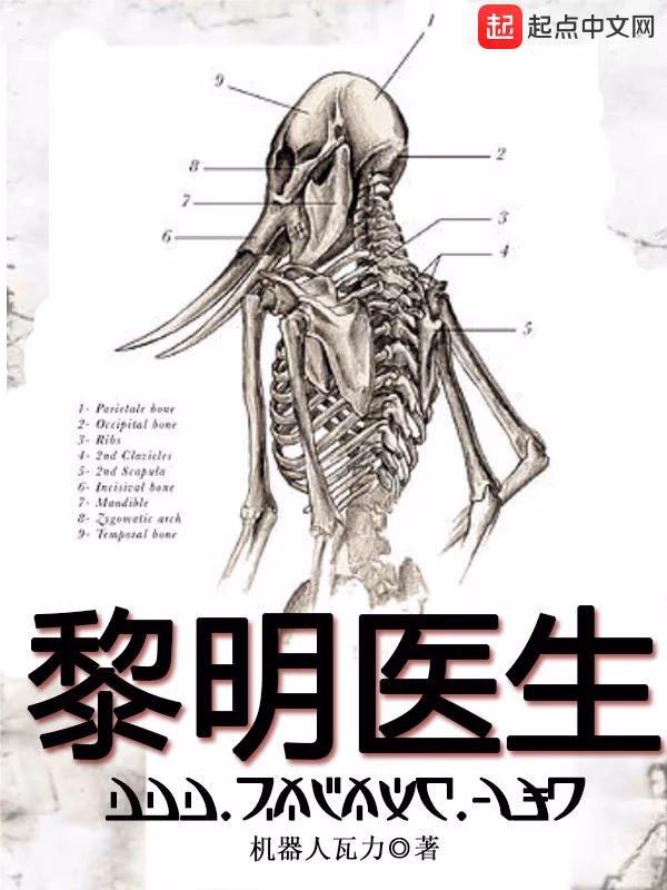 黎明医生